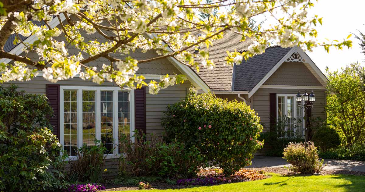 gray house under a tree blooming in spring