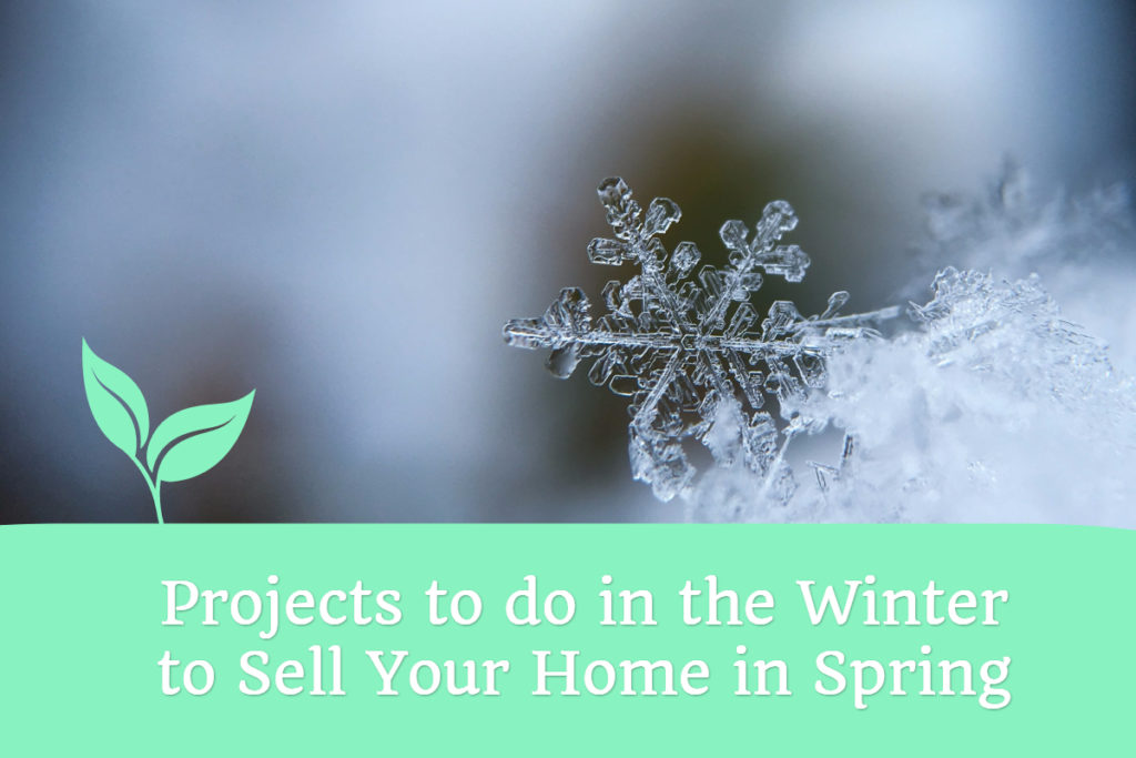 Projects for Winter